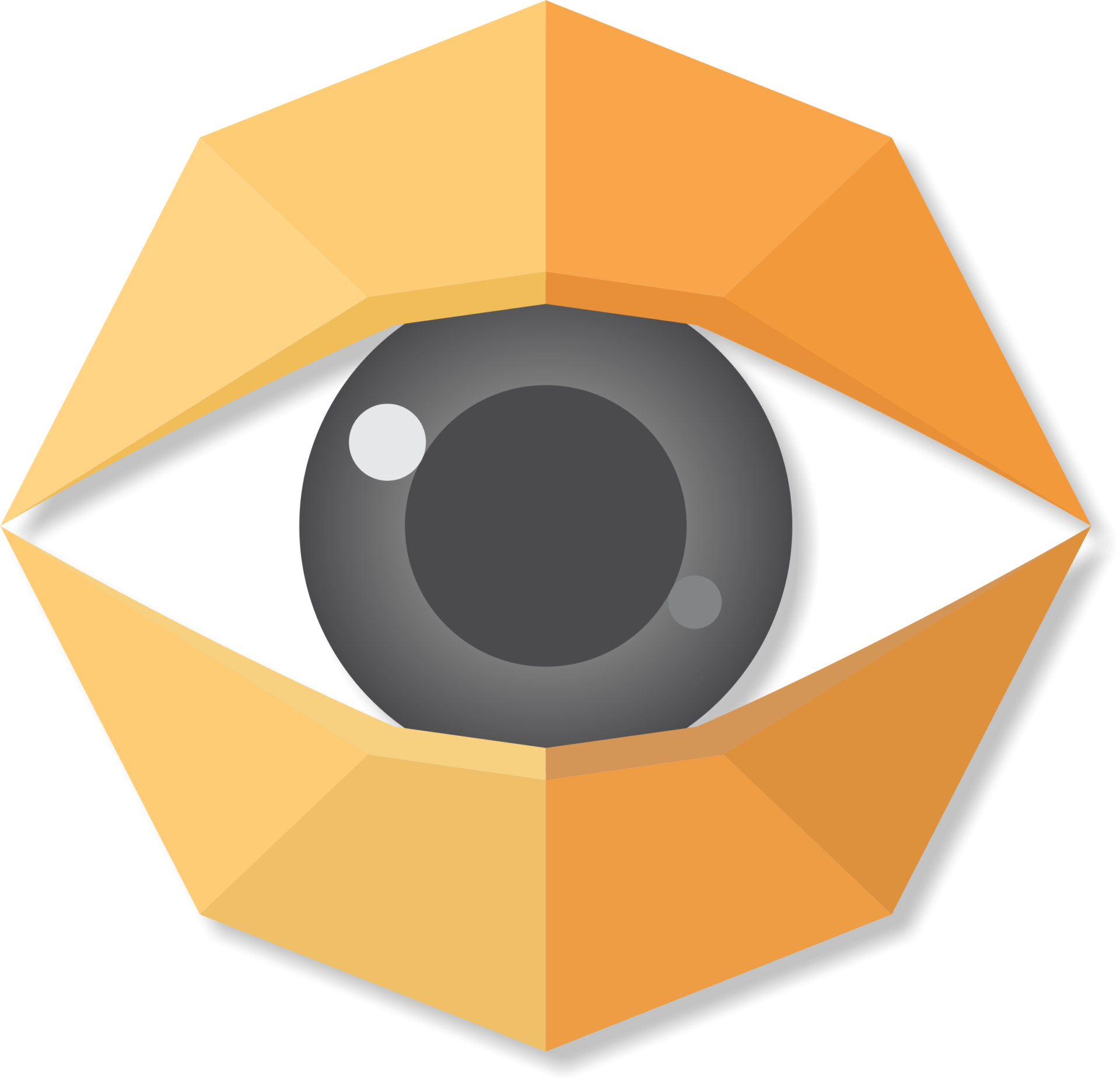 Making Brand Agency Black Mangos Vision